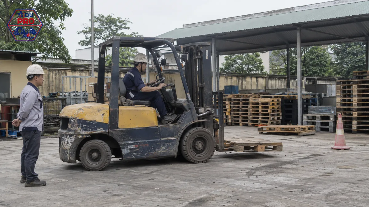 Học lái xe nâng: chọn khoá phù hợp, học gì và cần chuẩn bị gì